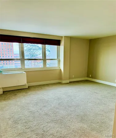 $45,000 | 210 North 17th Street, Unit 411, St. Louis, MO 63103