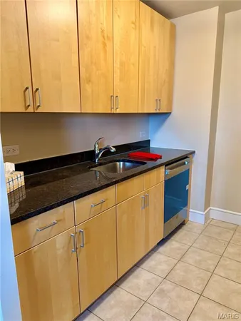 $45,000 | 210 North 17th Street, Unit 411, St. Louis, MO 63103