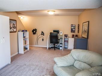 7008 Missionary Ridge Court Edwardsville, IL 62025 - Photo 17 of 23 Gallery Image 17