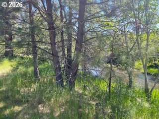 124 Woodland Road Goldendale, WA 98620 - Photo 12 of 27 a view of forest