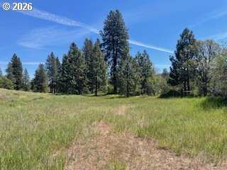 124 Woodland Road Goldendale, WA 98620 - Photo 17 of 27 a view of a field with trees in the background