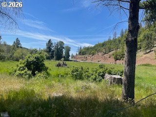 124 Woodland Road Goldendale, WA 98620 - Photo 18 of 27 a view of a lush green field