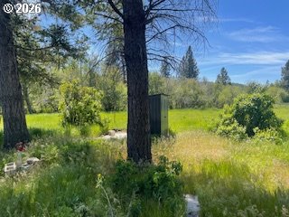 124 Woodland Road Goldendale, WA 98620 - Photo 19 of 27 a view of yard with large tree