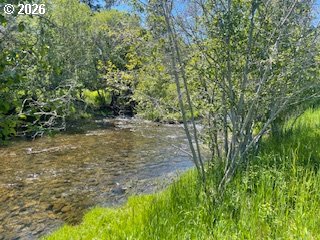 124 Woodland Road Goldendale, WA 98620 - Photo 4 of 27 a view of a yard with plants and large trees