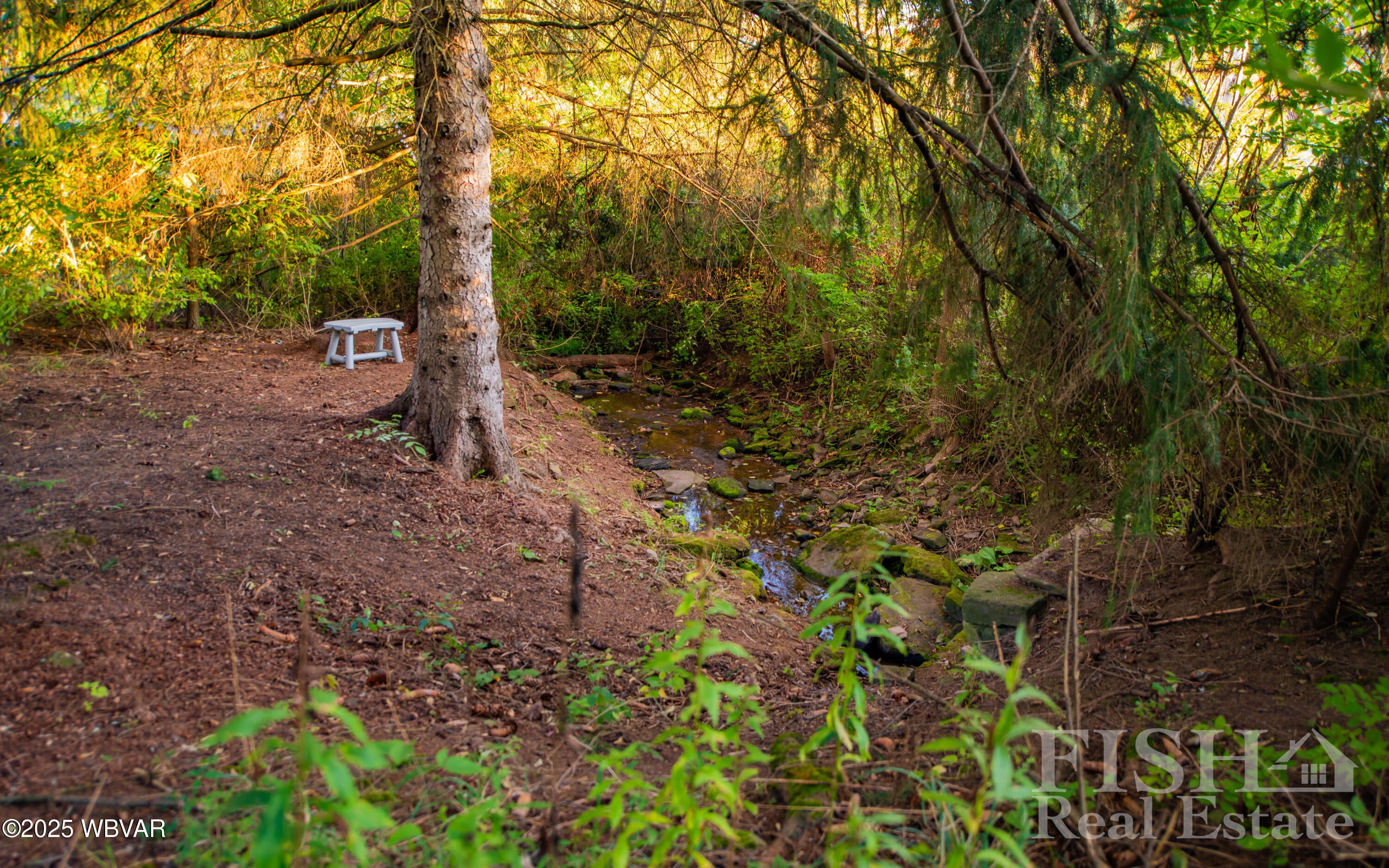 207 Baker Road Trout Run, PA 17771 - Photo 41 of 56 300 Year Spring