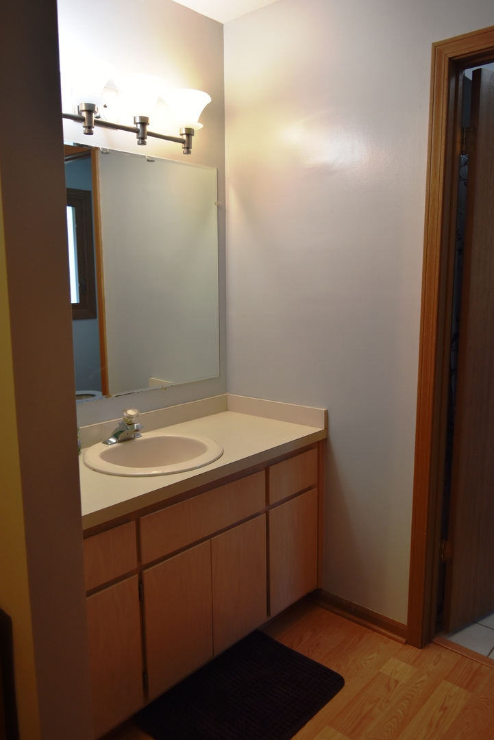 633 Gavin Avenue Romeoville, IL 60446 - Photo 18 of 33 a bathroom with a sink and a mirror