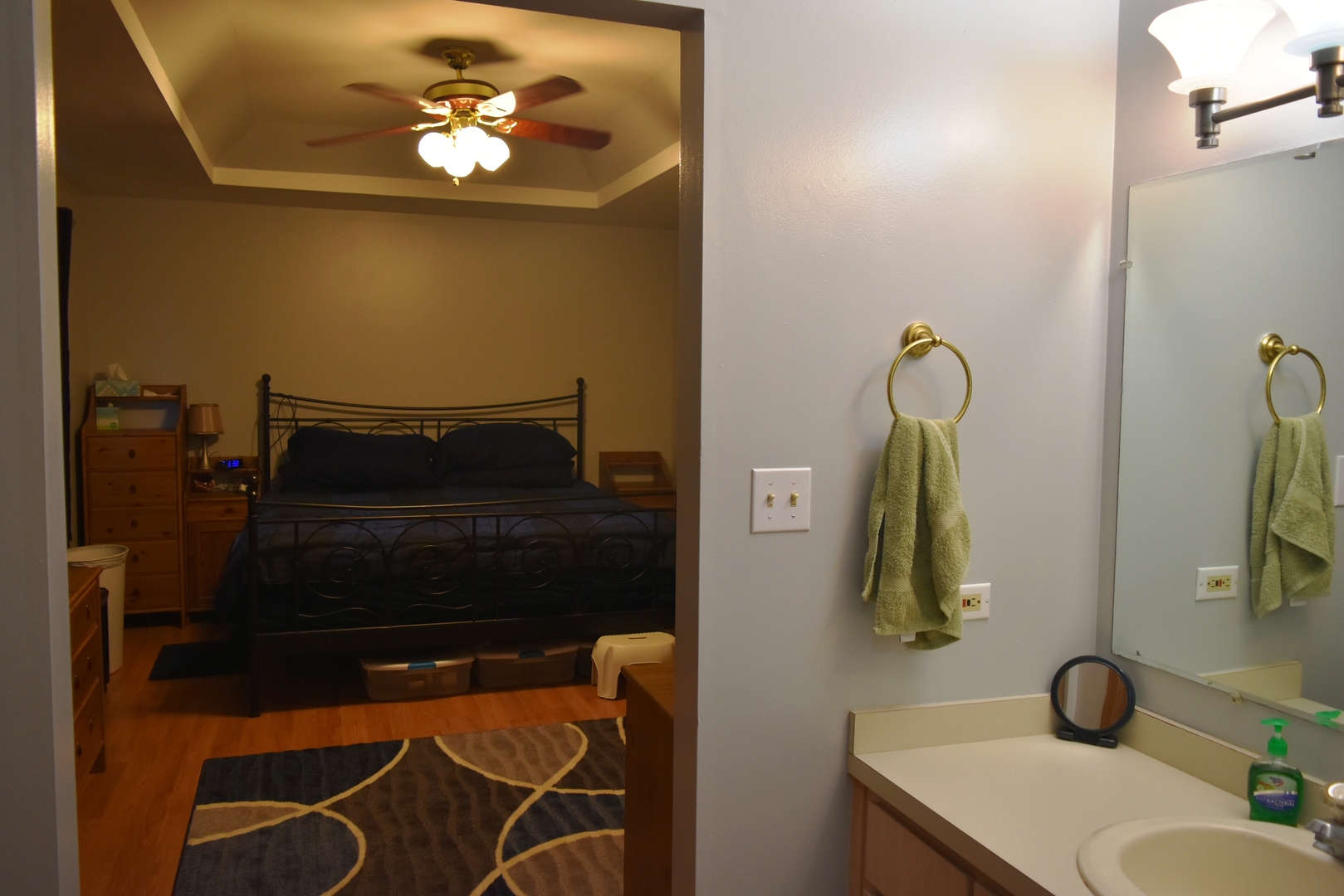633 Gavin Avenue Romeoville, IL 60446 - Photo 19 of 33 a bathroom with a sink and a mirror