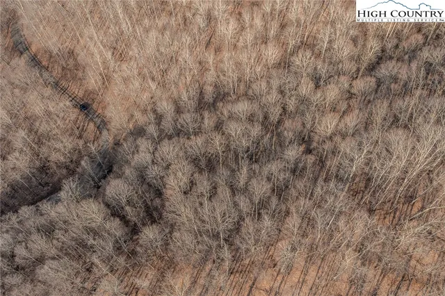 a view of a dry yard