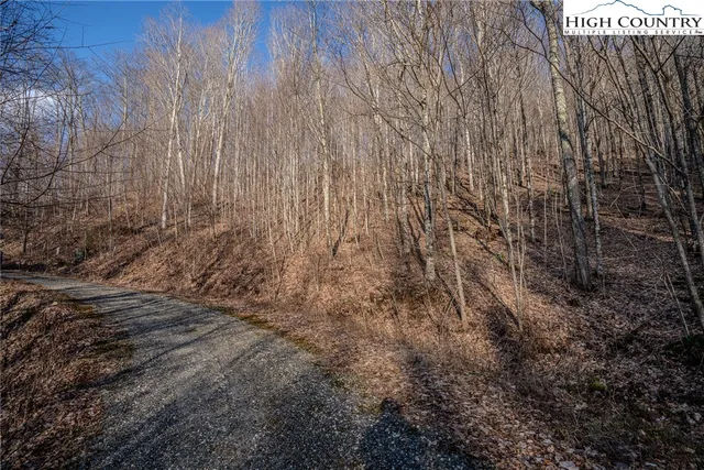 a view of backyard with wooden fence