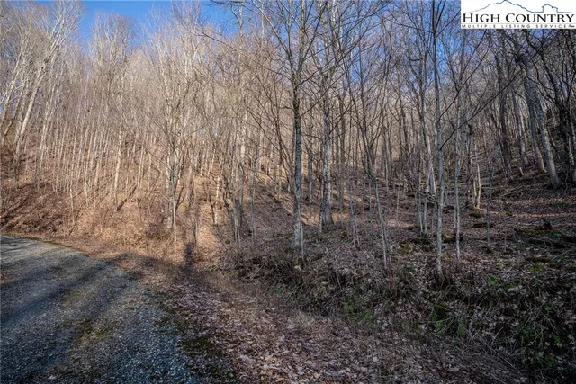 a view of a yard with trees in the background