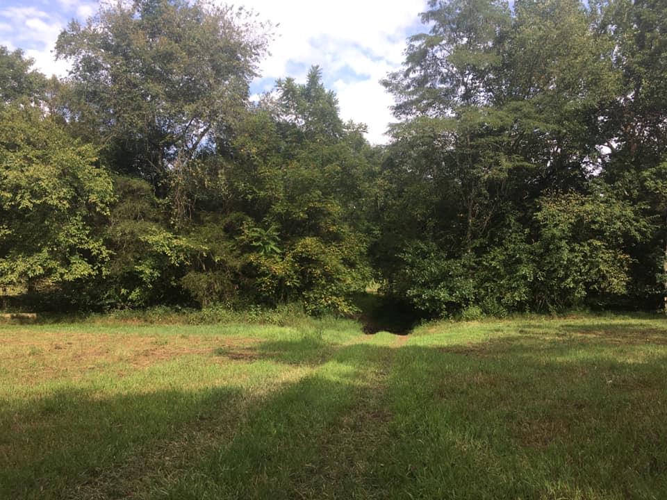 0 Albert Morgan Road Summer Shade, KY 42166 - Photo 12 of 23 Gallery Image 12
