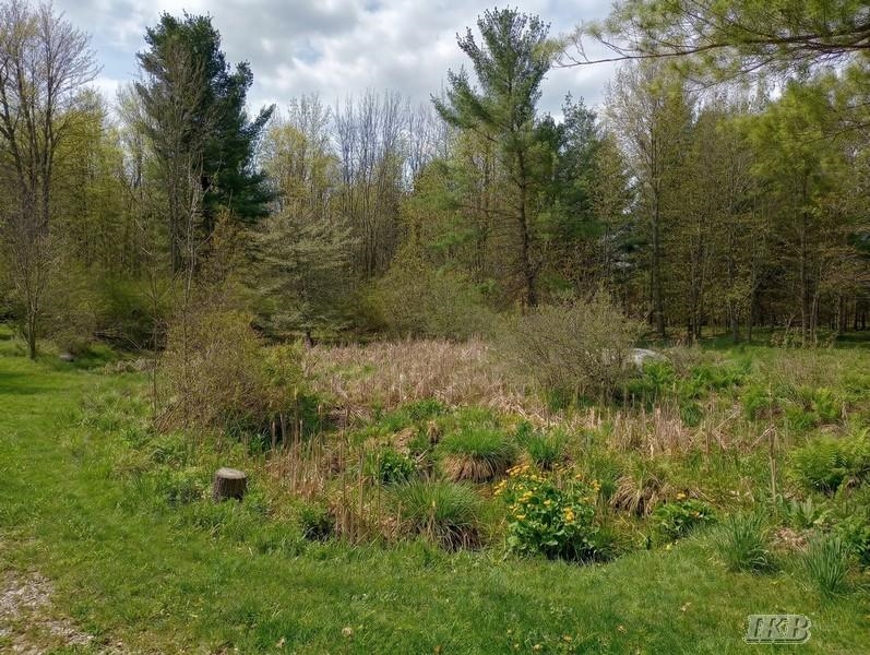 2735 Sugar River Road Gladwin, MI 48624 - Photo 6 of 17