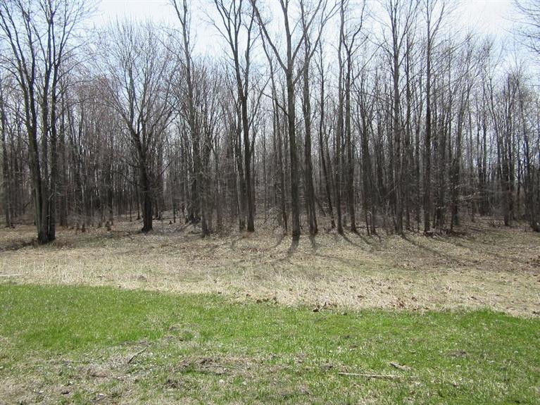 9286 Talladay Road Willis, MI 48191 - Photo 3 of 20 Photo 3