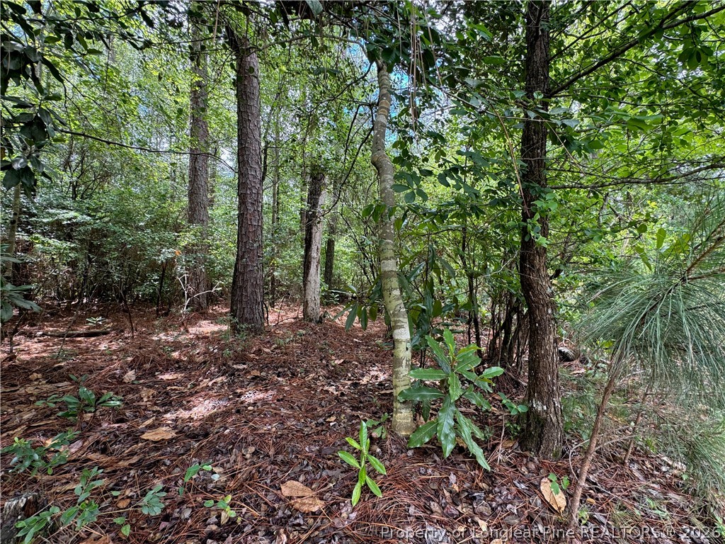 Tbd Myra Road Raeford, NC 28376 - Photo 16 of 23 lot interior