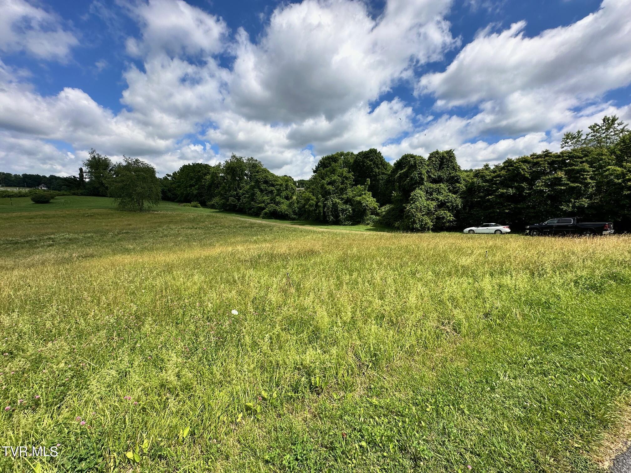 Tbd Reynolds Road Elizabethton, TN 37643 - Photo 3 of 4 IMG_1