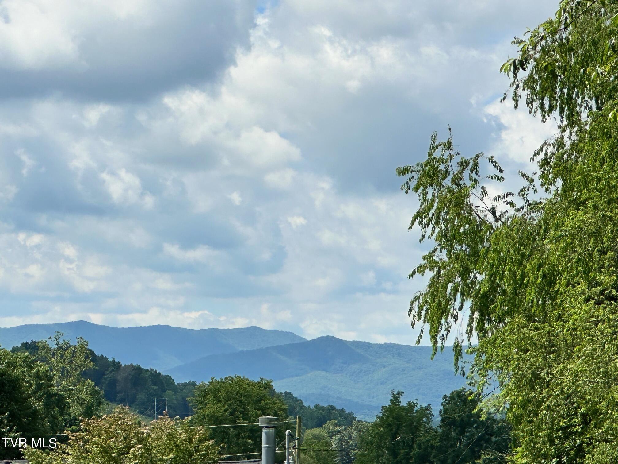 Tbd Reynolds Road Elizabethton, TN 37643 - Photo 4 of 4 IMG_4