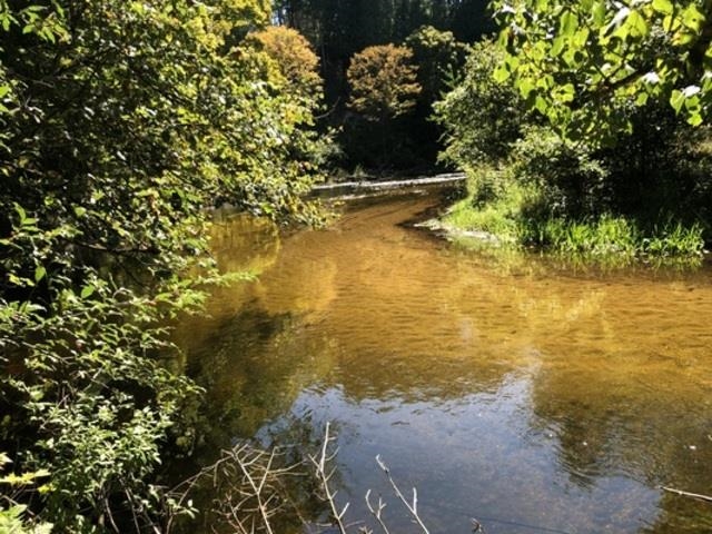 F Tomasek Road Thompsonville, MI 49683 - Photo 1 of 28 1919039.JPG