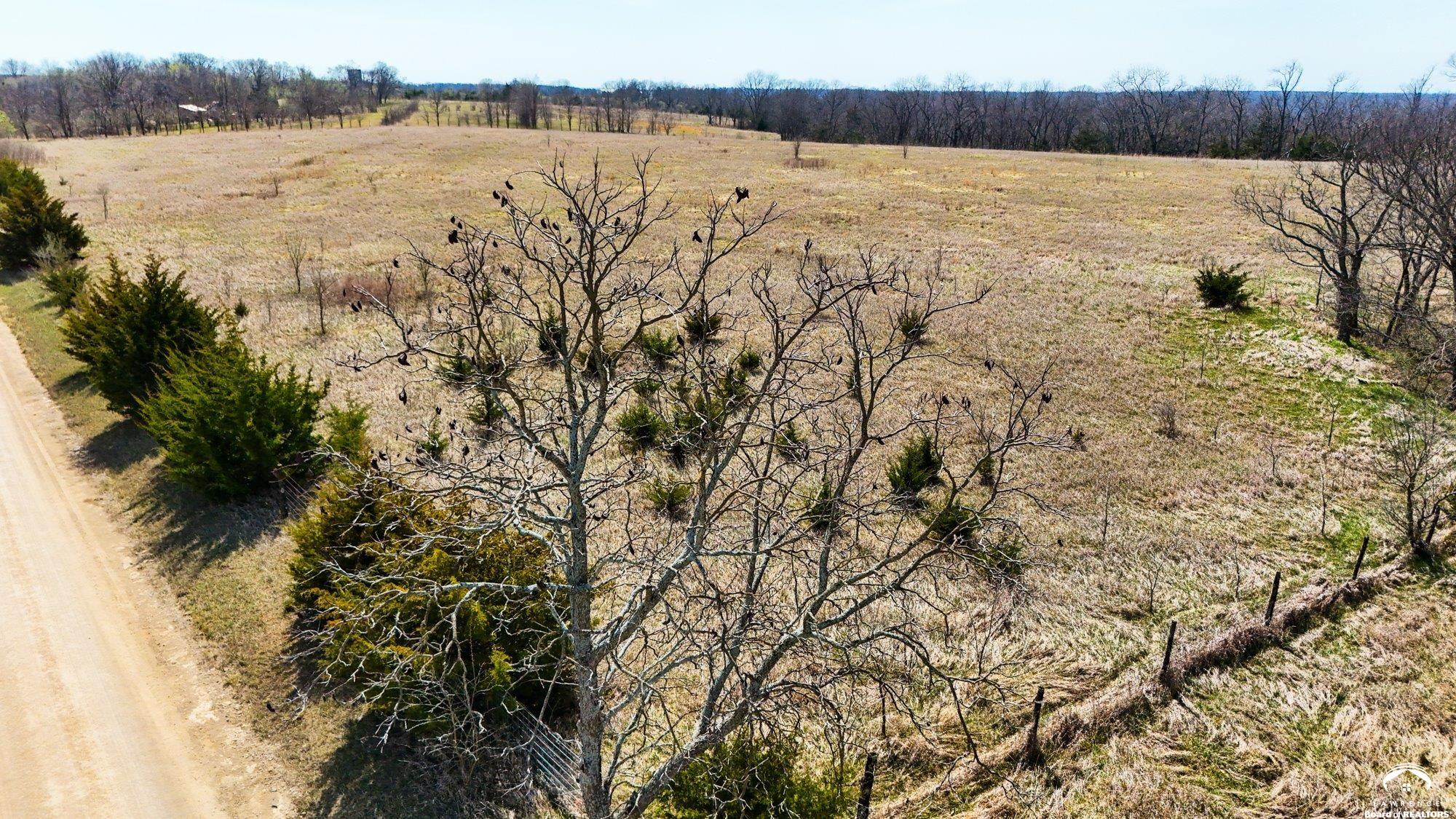 Lot 1 Republic Road Oskaloosa, KS 66066 - Photo 4 of 20