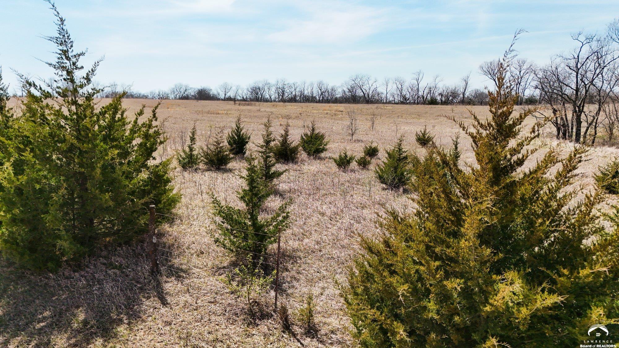 Lot 1 Republic Road Oskaloosa, KS 66066 - Photo 9 of 20