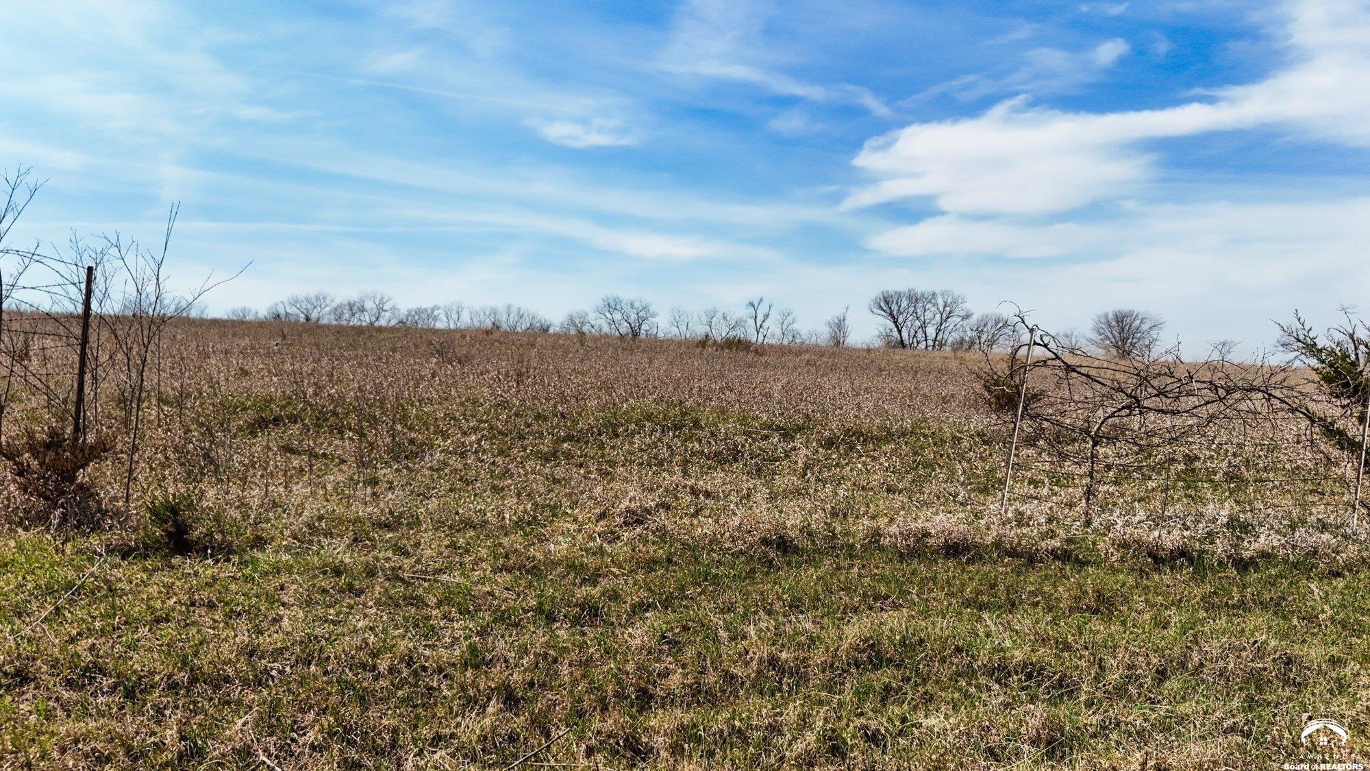 Lot 1 Republic Road Oskaloosa, KS 66066 - Photo 10 of 20