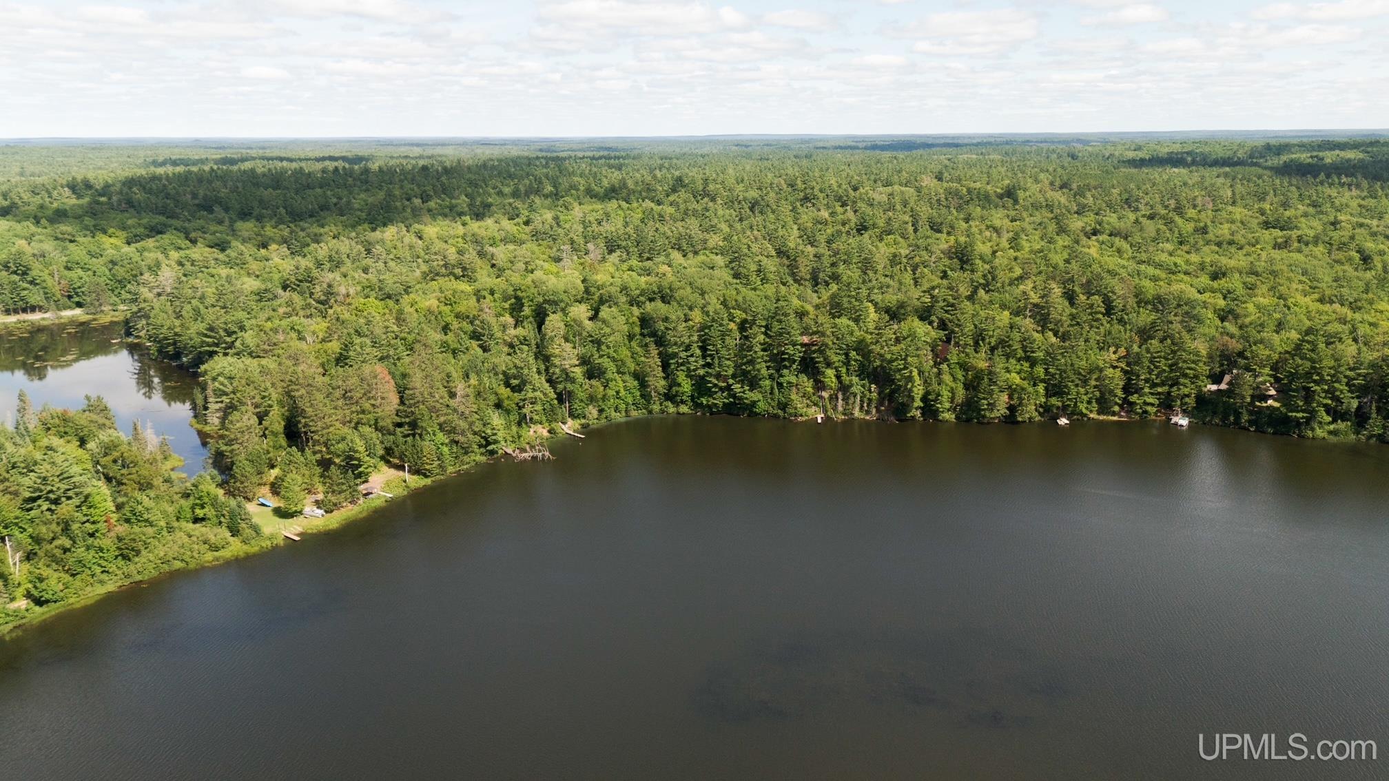 Tbd West Paint Lake Road Iron River, MI 49935 - Photo 12 of 14