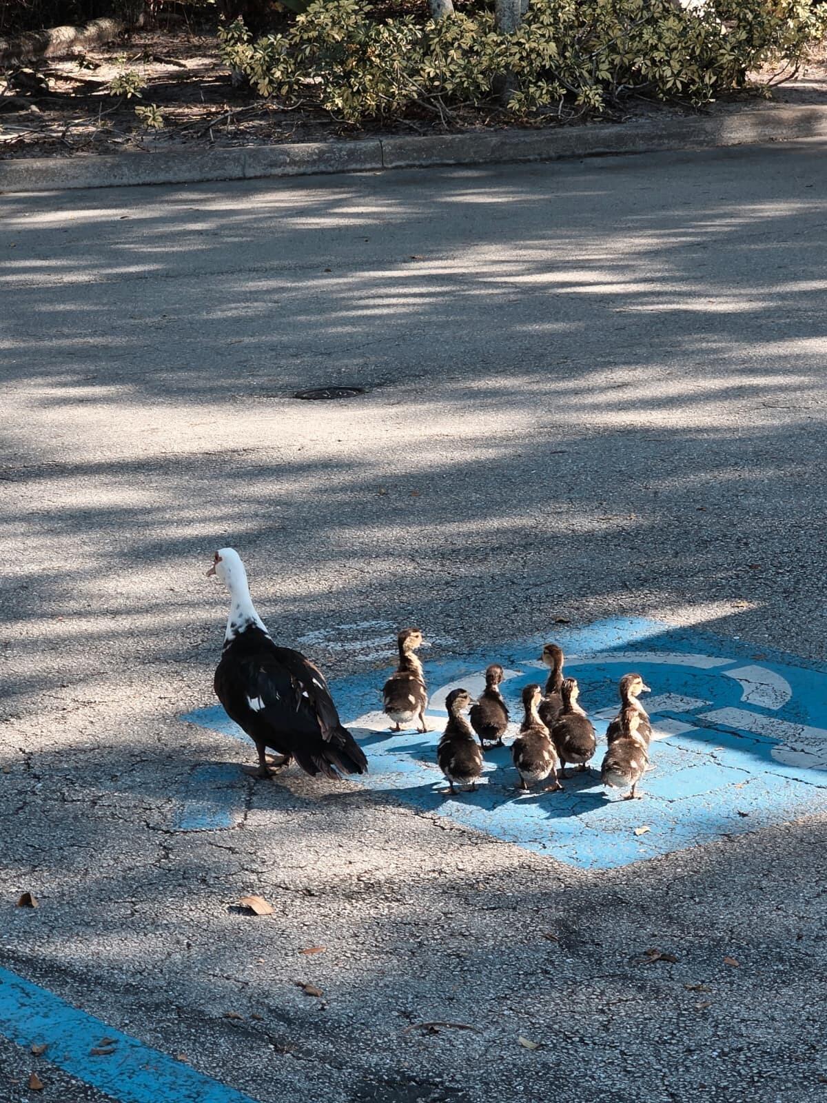 4863 Via Palm Lakes, Unit 812 West Palm Beach, FL 33417 - Photo 25 of 27 a view of a room with two washing machine