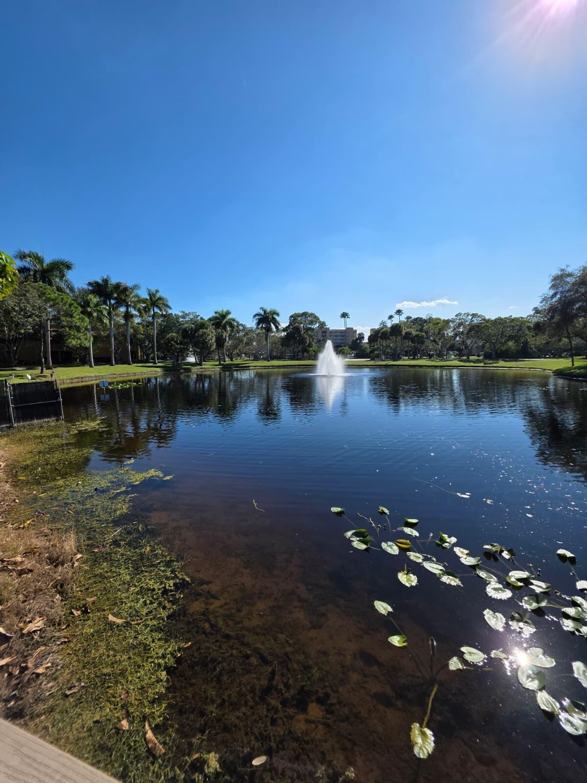 4863 Via Palm Lakes, Unit 812 West Palm Beach, FL 33417 - Photo 26 of 27 a view of a lake with houses in the background