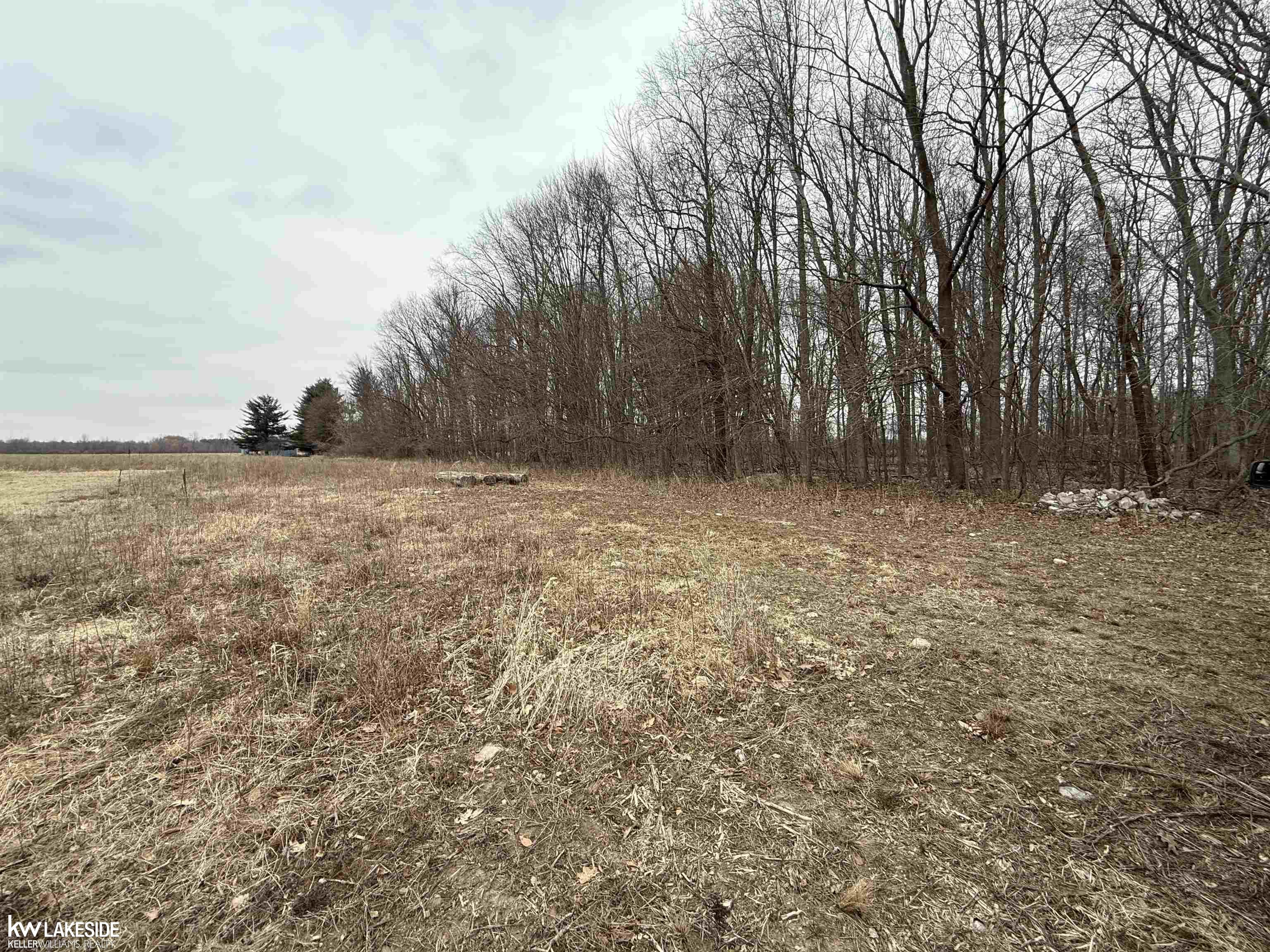 0 Cove Road Goodells, MI 48027 - Photo 14 of 25
