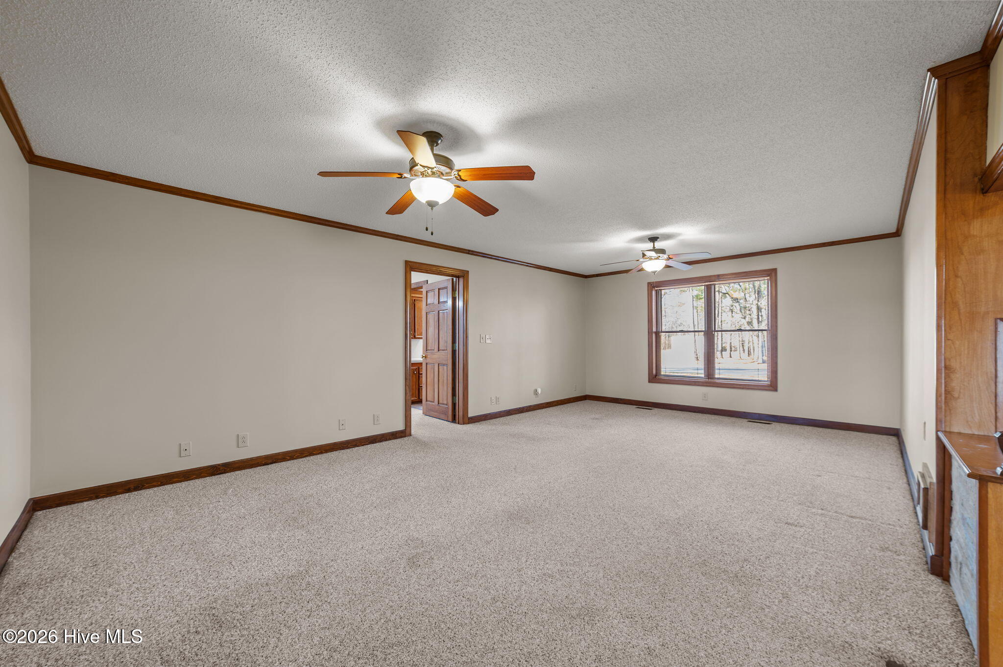 651 Smith Shore Road Belhaven, NC 27810 - Photo 39 of 80 23-web-or-mls-LHV_0339