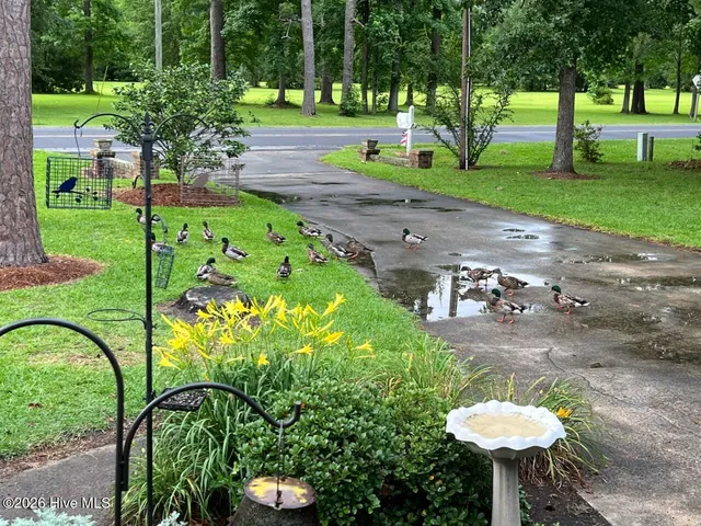 $650,000 | 651 Smith Shore Road, Belhaven, NC 27810