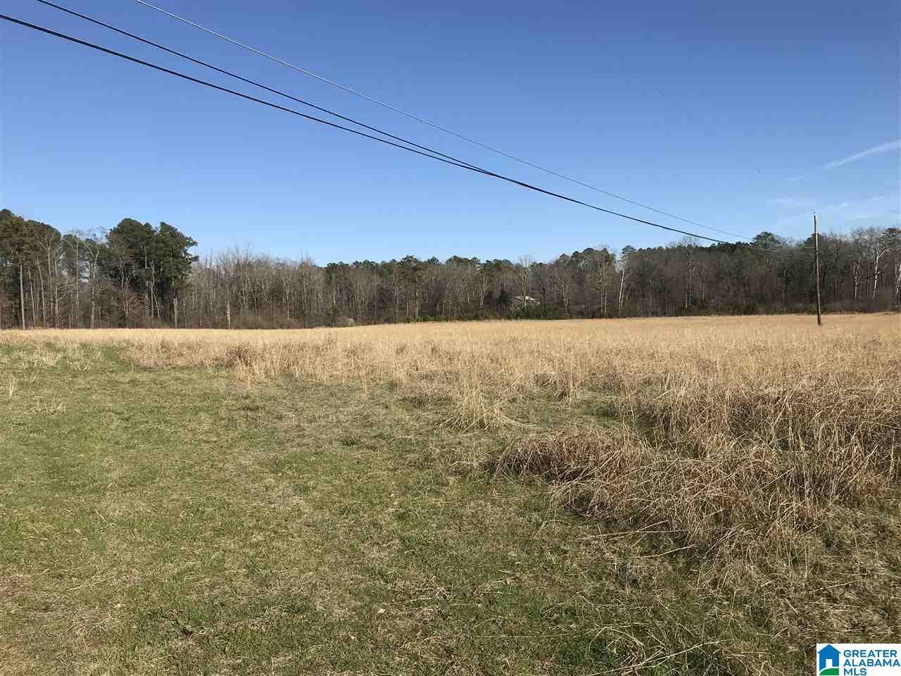 0 Fox Valley Farms Road, Unit 1 Alabaster, AL 35114 - Photo 5 of 8