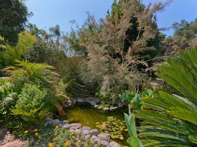 3058 Green Canyon Road Fallbrook, CA 92028 - Photo 17 of 25 The small pond area off the brick patio