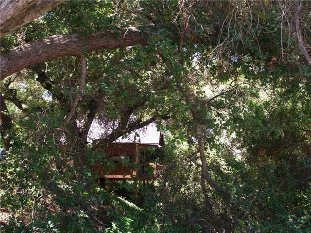 3058 Green Canyon Road Fallbrook, CA 92028 - Photo 22 of 25 Looking through the trees along the creek area to the quaint studio guest house