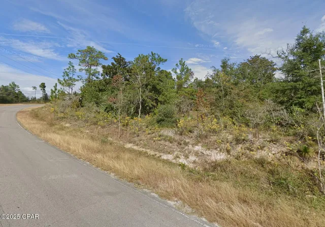 $57,400 | Tbd Tbd Orange Hill, Chipley, FL 32428