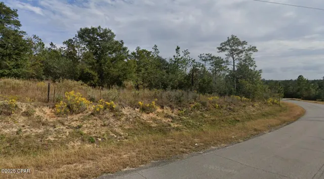 $57,400 | Tbd Tbd Orange Hill, Chipley, FL 32428