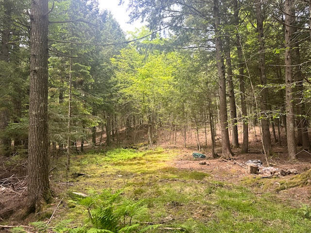 1 West Waldo Road Belfast, ME 04915 - Photo 5 of 13
