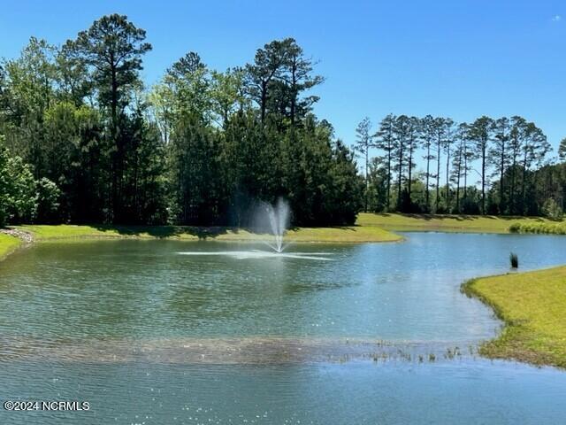 1607 Raptor Terrace Northeast, Unit LOT 321 Bolivia, NC 28422 - Photo 26 of 36 EAGLE CREEK WATER FEATURE