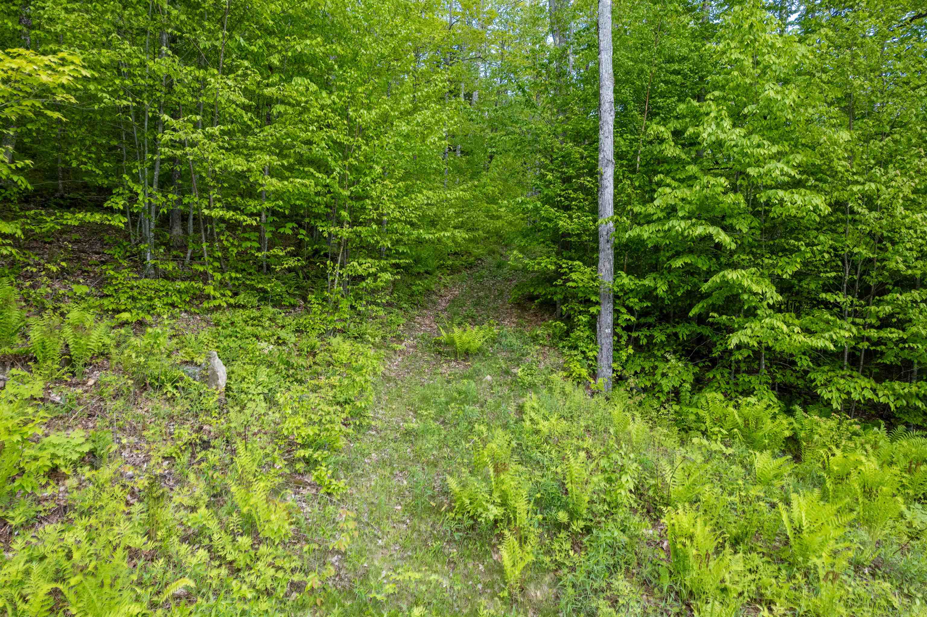 0 Mecawee Road Woodstock, VT 05091 - Photo 12 of 27