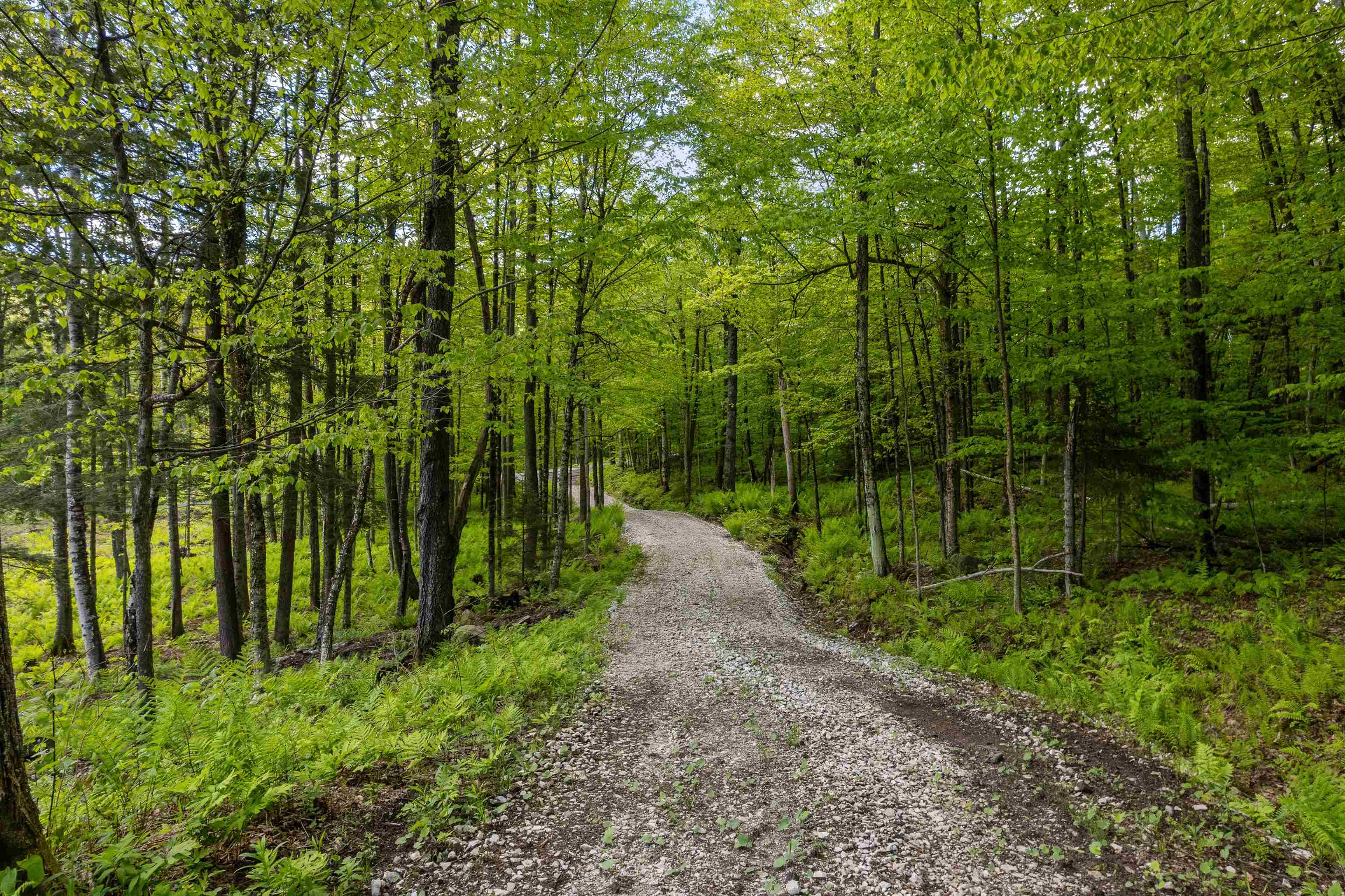 0 Mecawee Road Woodstock, VT 05091 - Photo 13 of 27