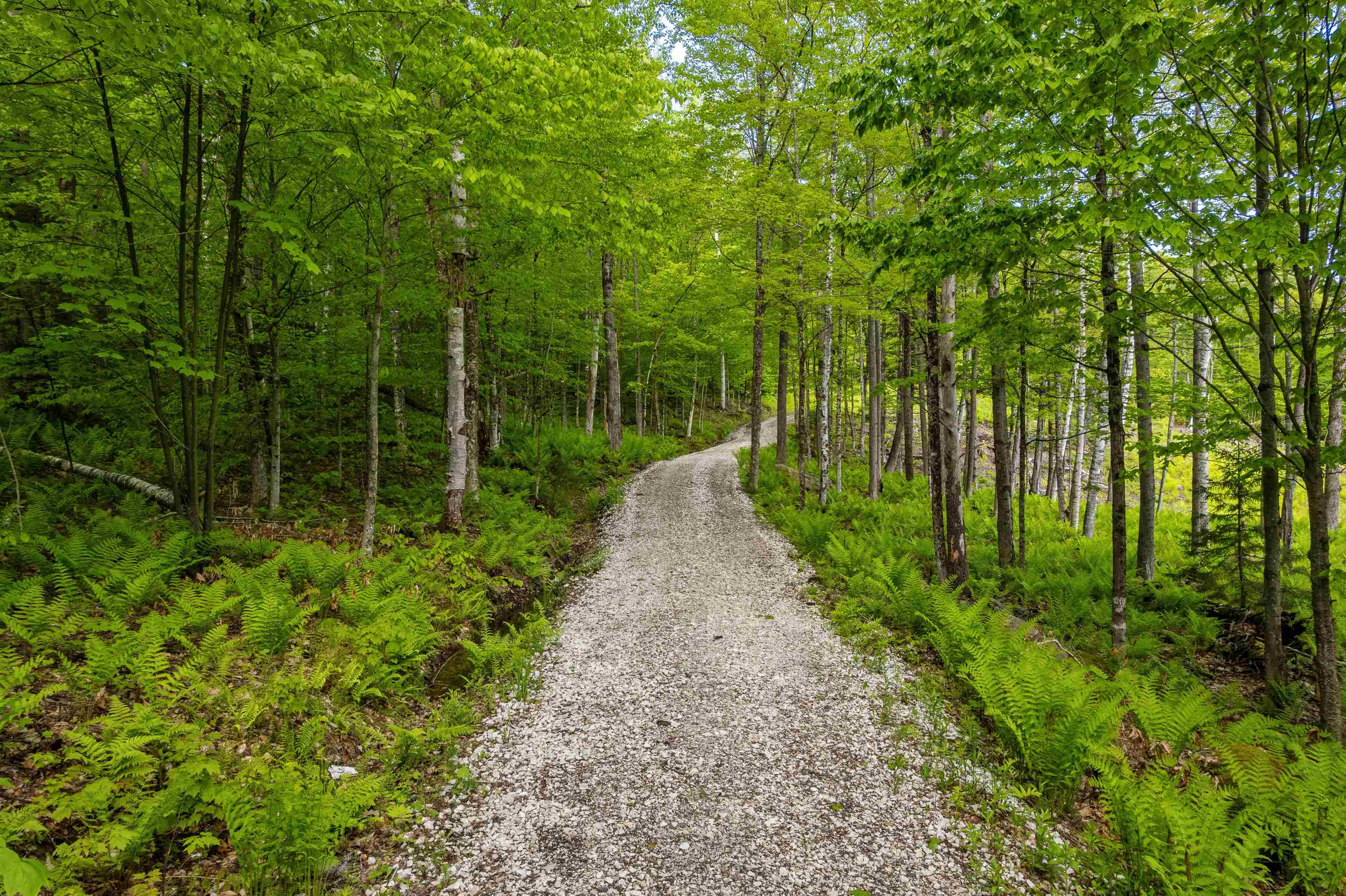 0 Mecawee Road Woodstock, VT 05091 - Photo 14 of 27