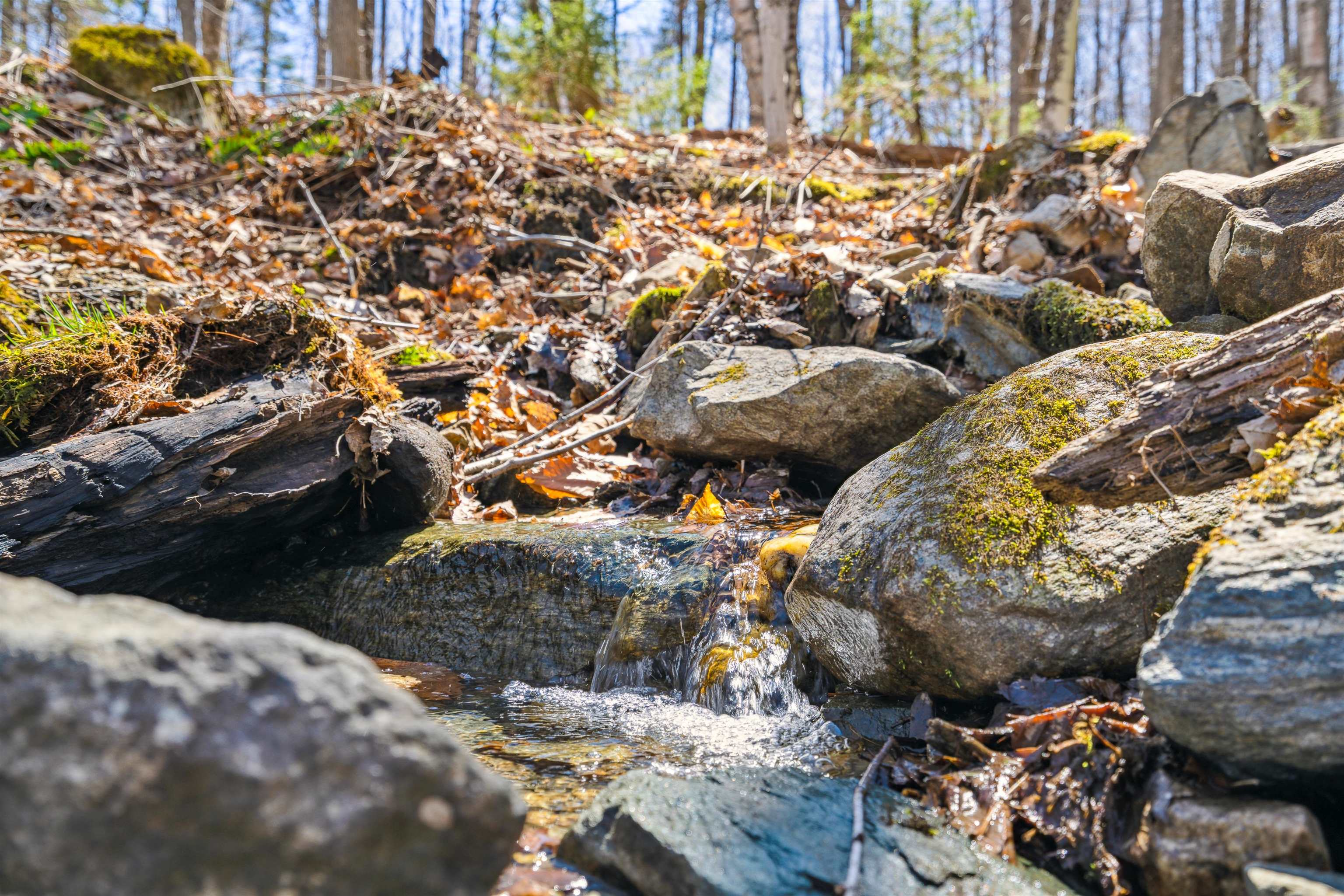 0 Mecawee Road Woodstock, VT 05091 - Photo 19 of 27