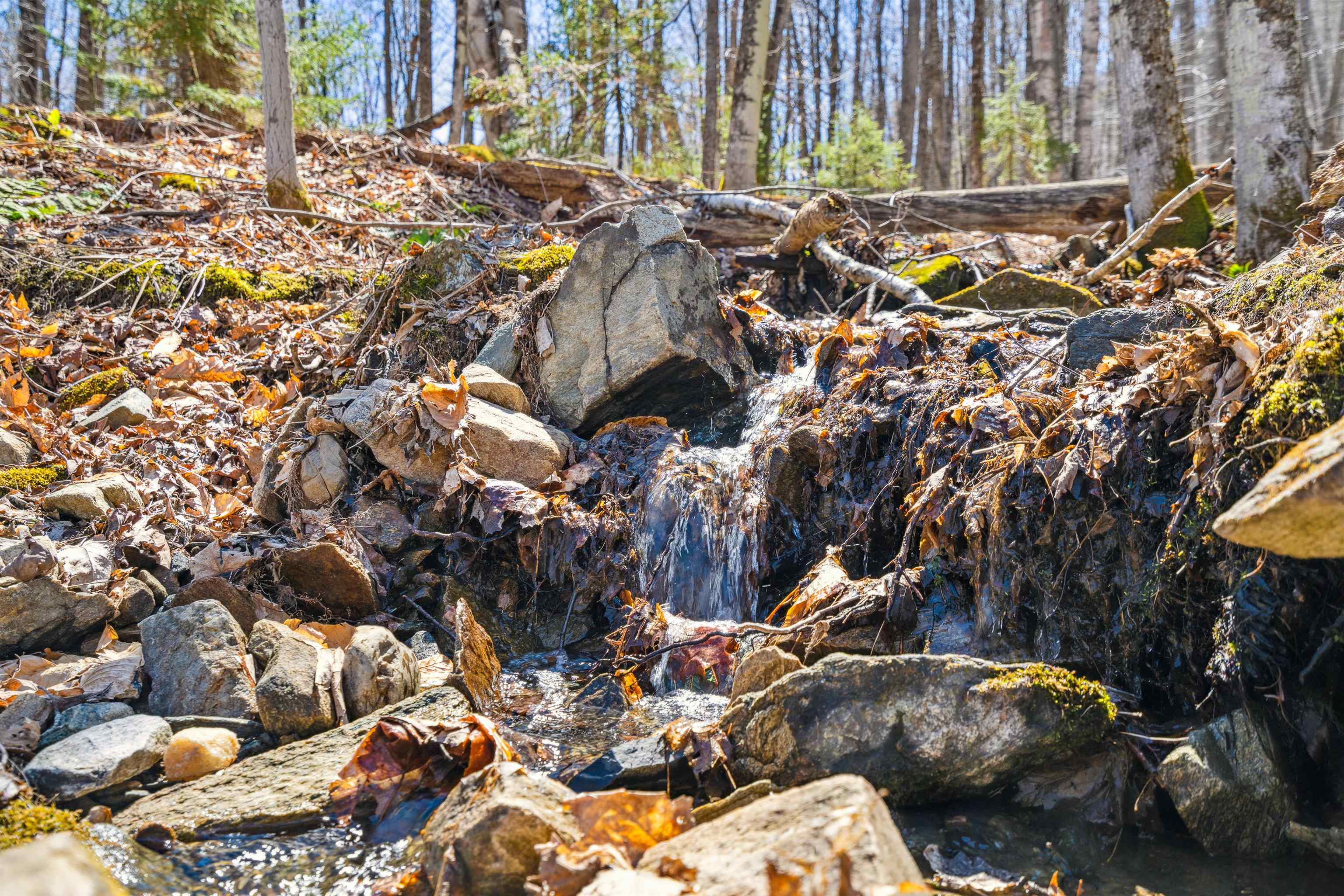 0 Mecawee Road Woodstock, VT 05091 - Photo 20 of 27