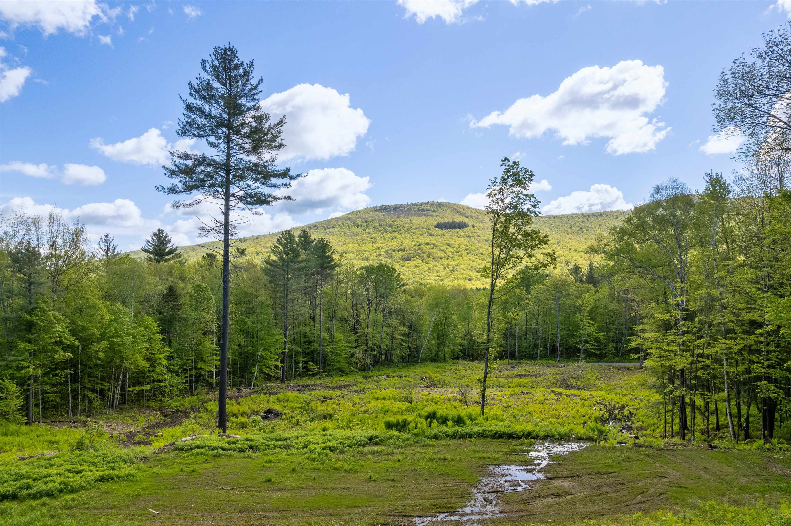 0 Mecawee Road Woodstock, VT 05091 - Photo 2 of 27