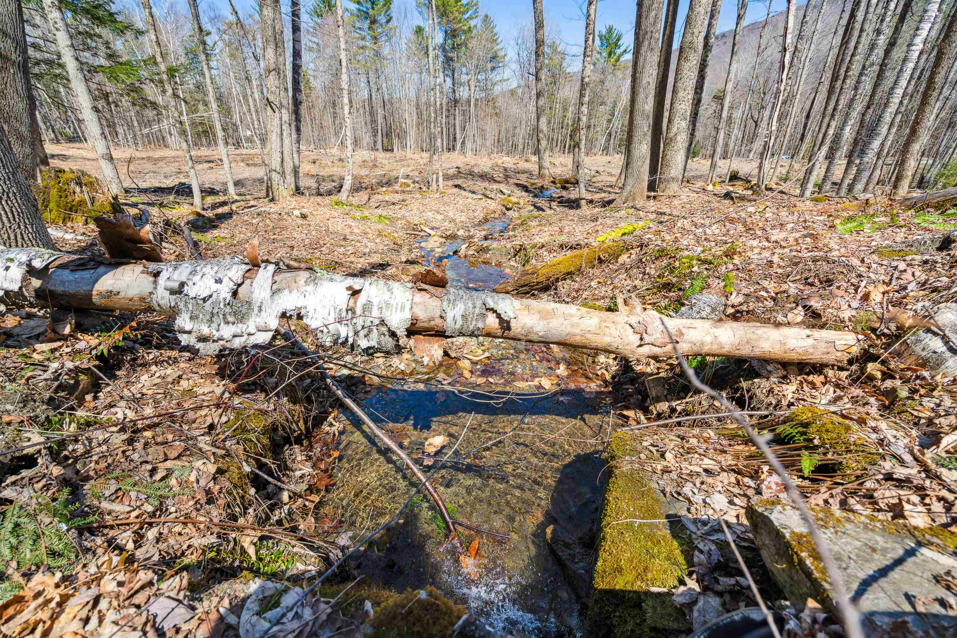 0 Mecawee Road Woodstock, VT 05091 - Photo 21 of 27
