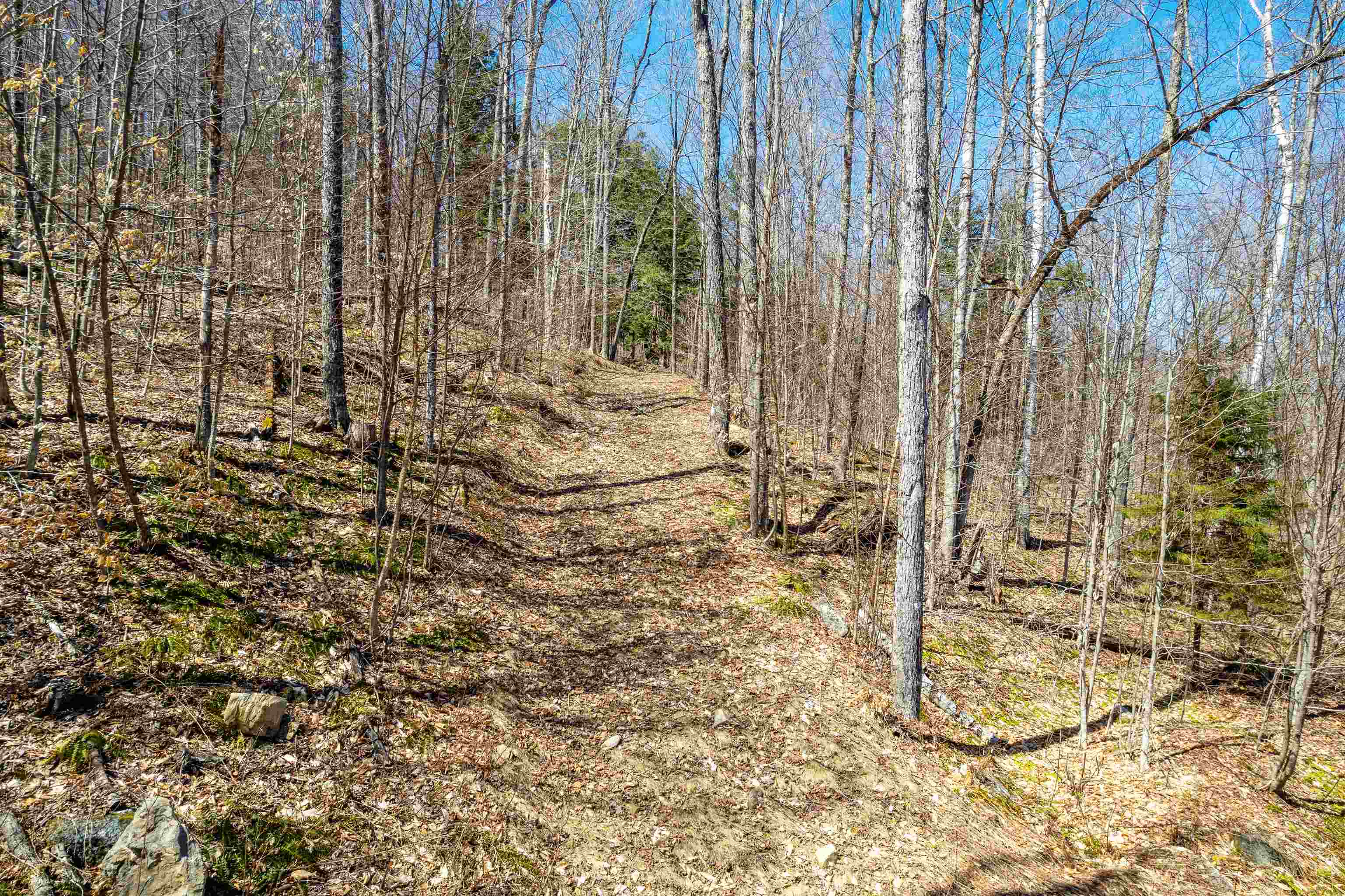 0 Mecawee Road Woodstock, VT 05091 - Photo 22 of 27