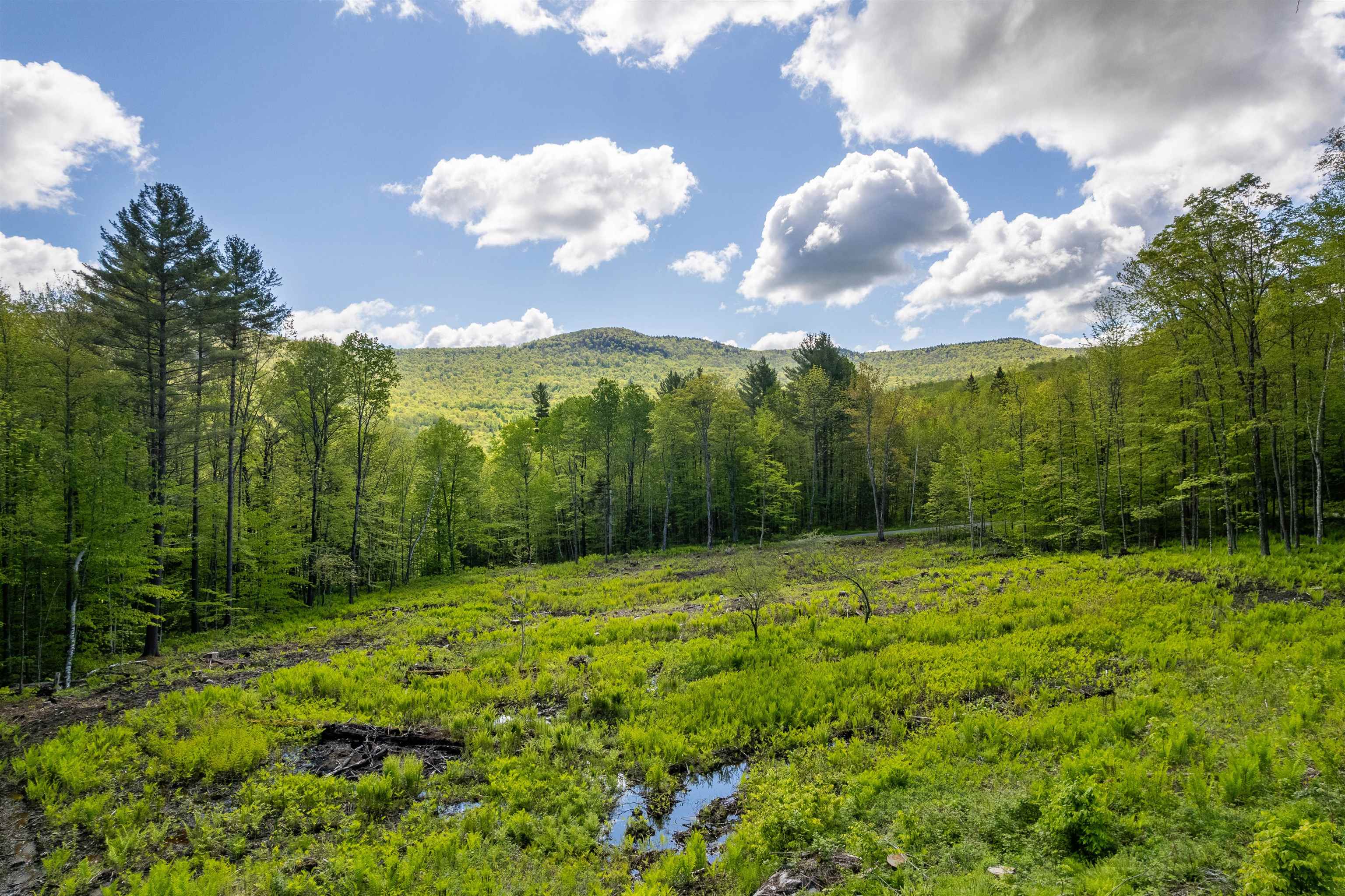 0 Mecawee Road Woodstock, VT 05091 - Photo 3 of 27