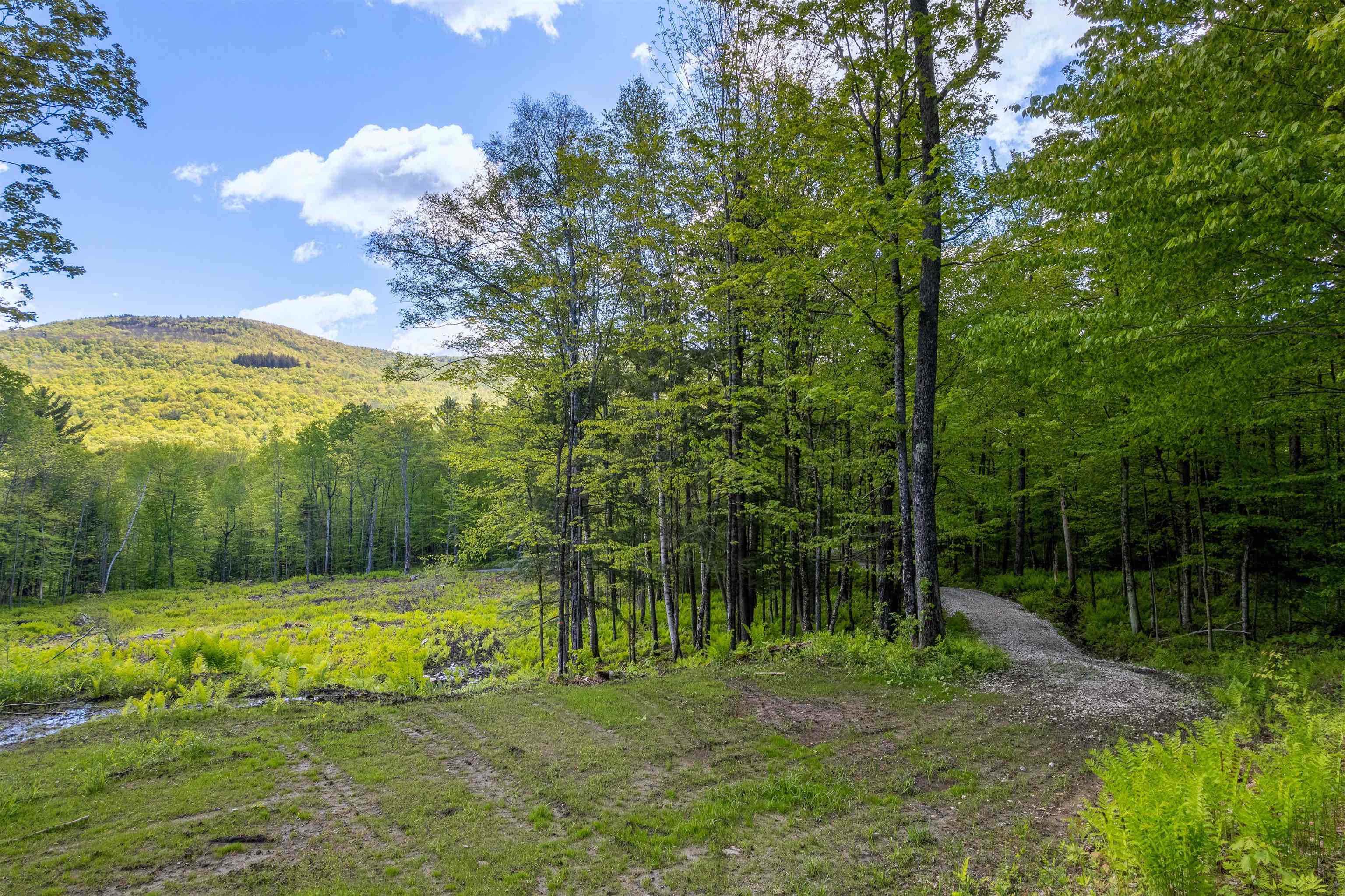 0 Mecawee Road Woodstock, VT 05091 - Photo 4 of 27