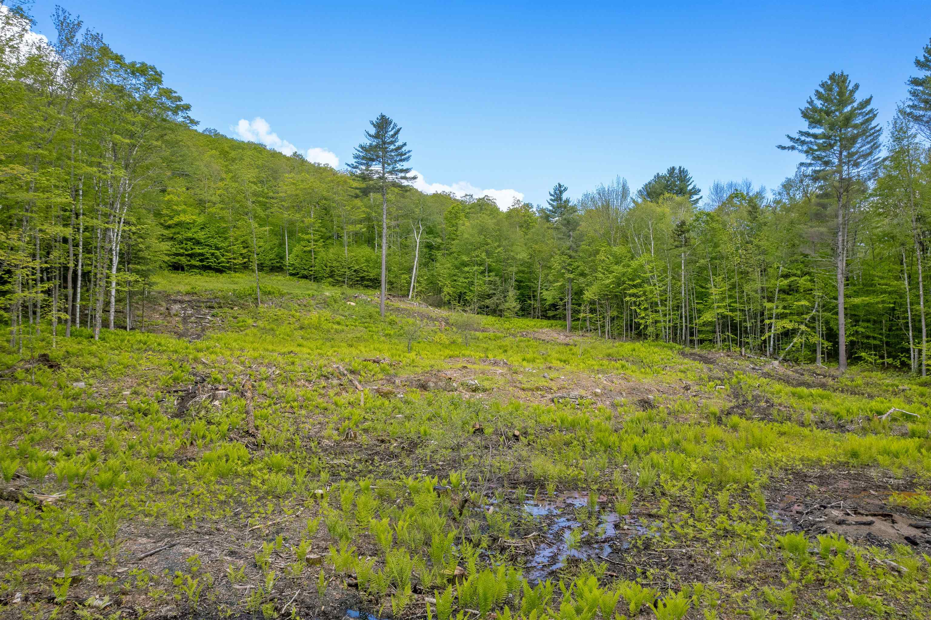 0 Mecawee Road Woodstock, VT 05091 - Photo 5 of 27