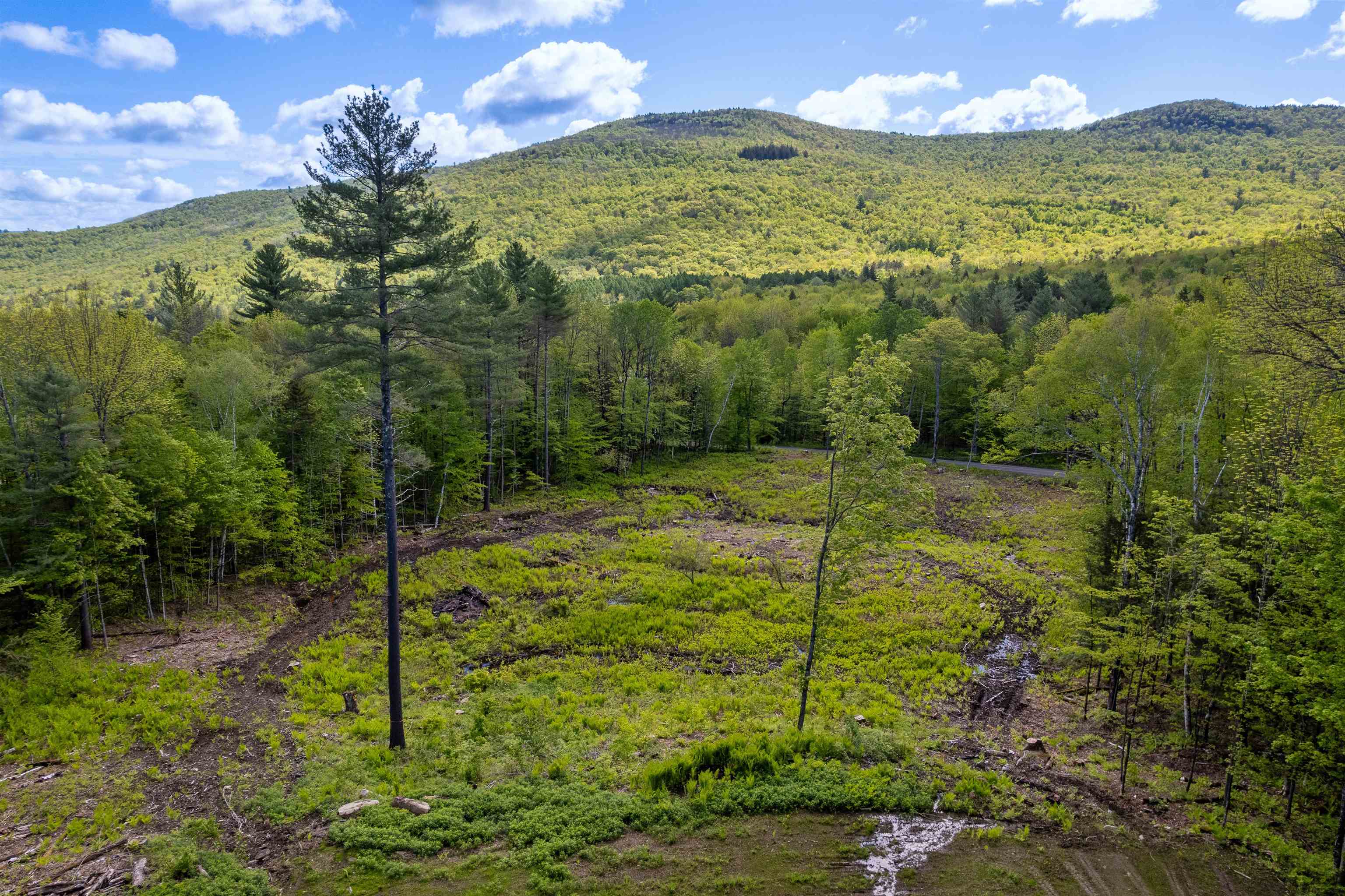 0 Mecawee Road Woodstock, VT 05091 - Photo 6 of 27