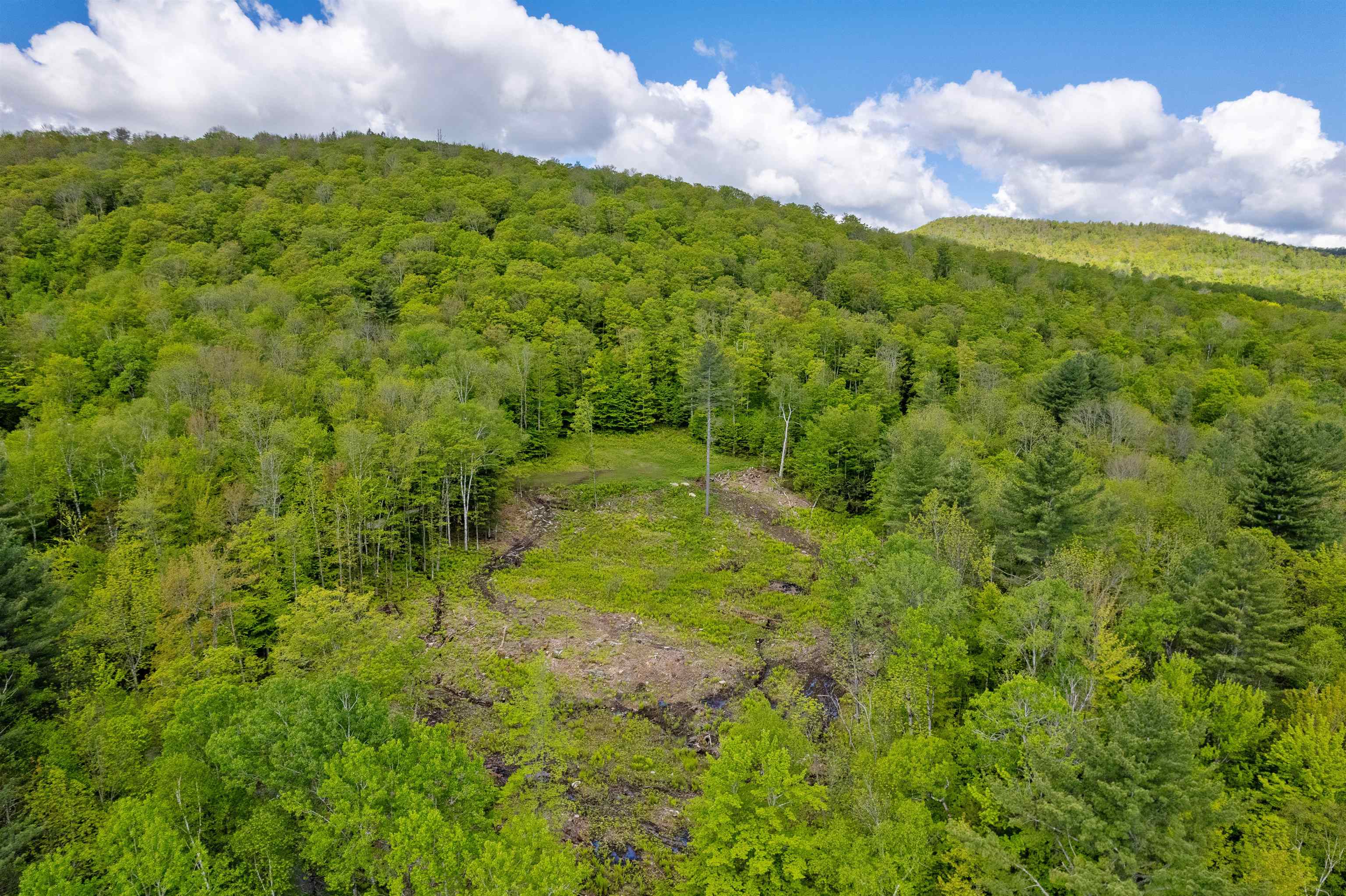0 Mecawee Road Woodstock, VT 05091 - Photo 8 of 27